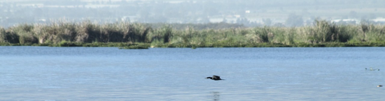 Cuenca Laguna de Zapotlán